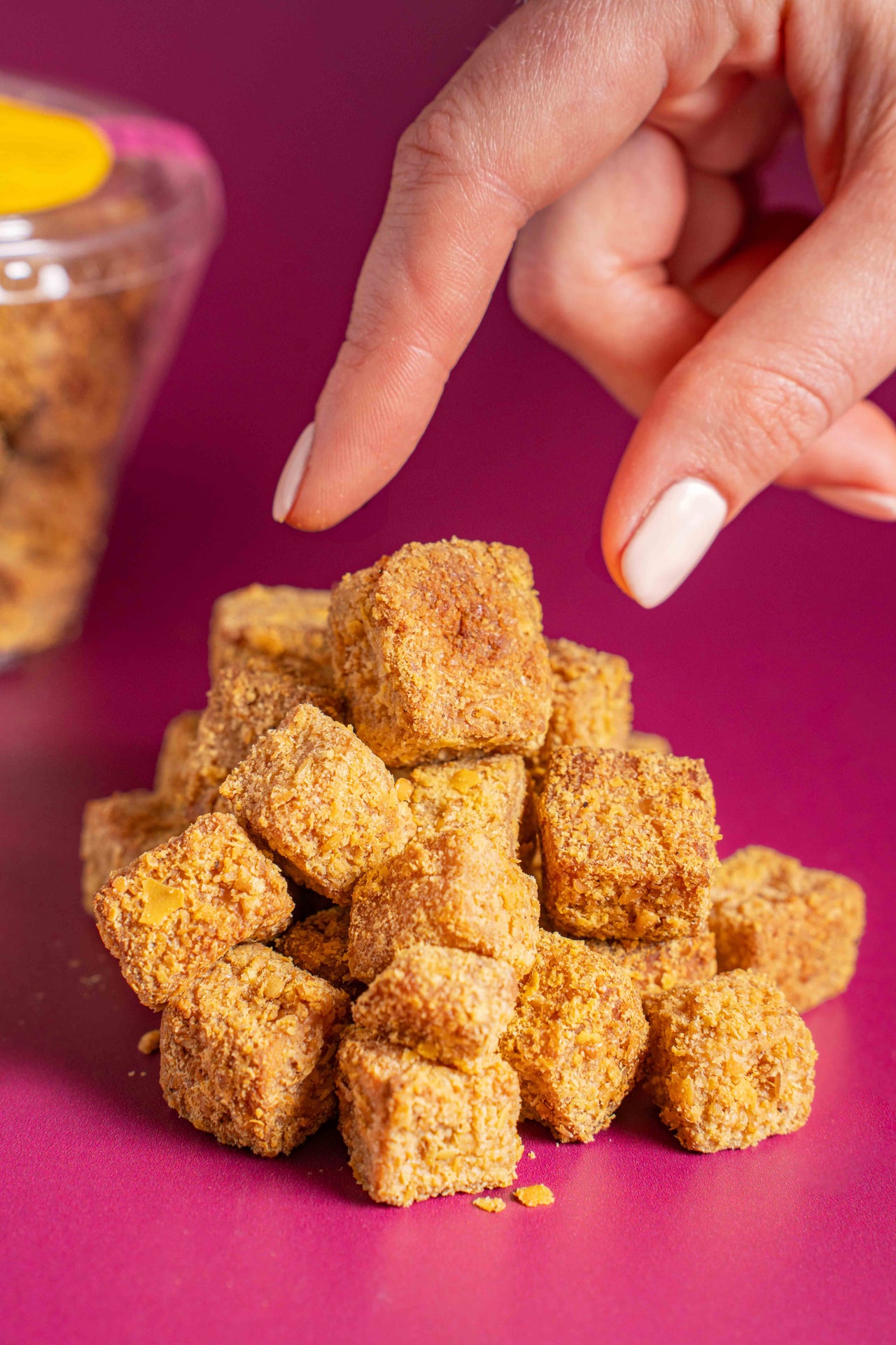 Tofu Nuggets